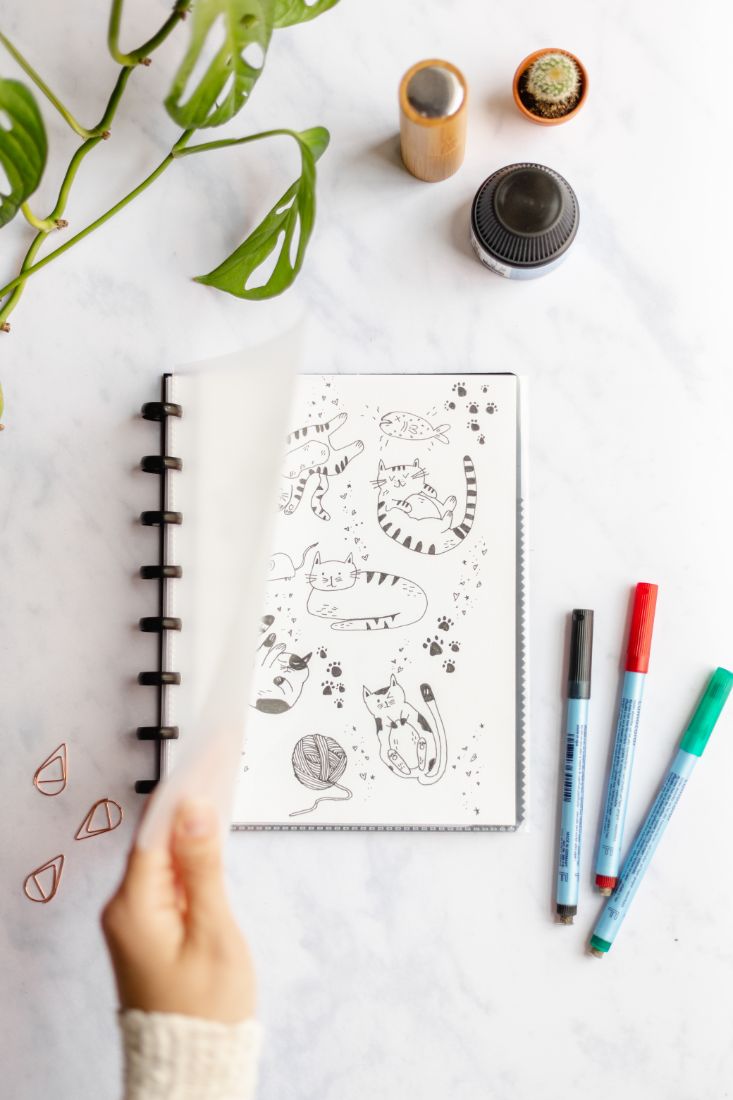 Transparent Asoki planner with customizable cover