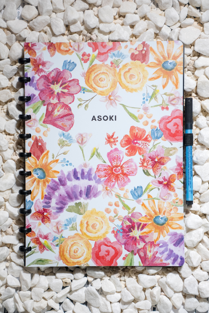 Erasable notebook A4 plain